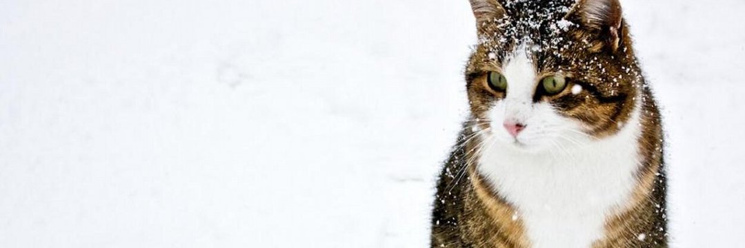 SsimoBL's profile banner image