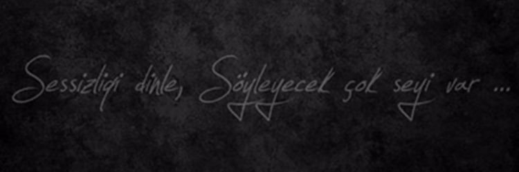 hilallergin's profile banner image