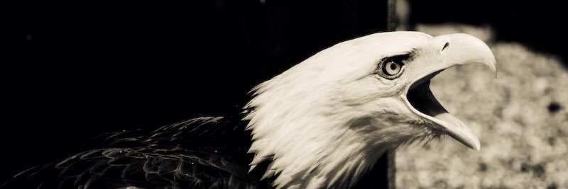 BrettGreene10's profile banner image