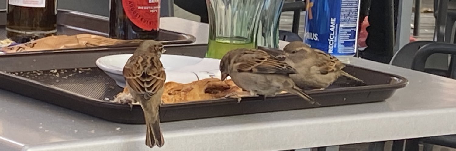 Miguel Ángel Buj banner