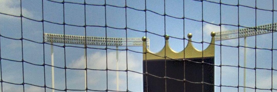 Empire Net & Fence banner