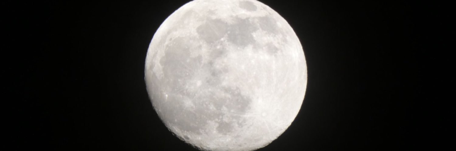 catcostaaa's profile banner image