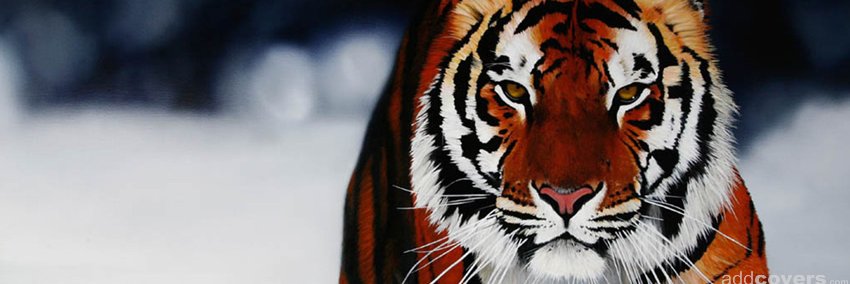 Crouch_94's profile banner image