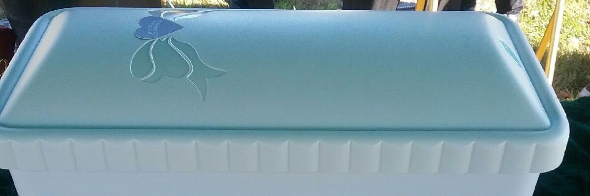 _TeshaG's profile banner image