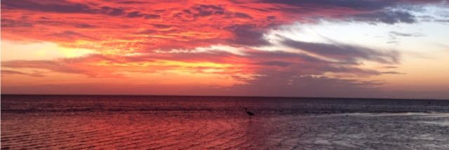 ChuckHanley's profile banner image