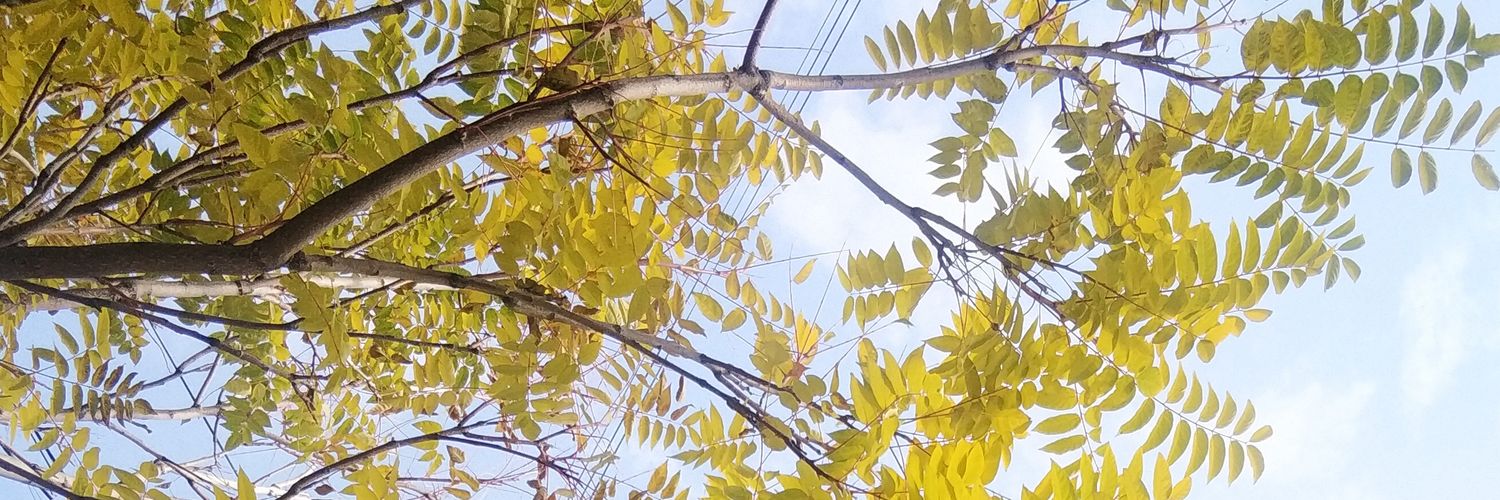 AminaKasma's profile banner image
