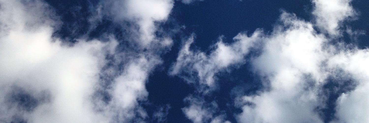 JessWillott's profile banner image