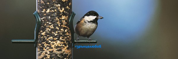 BSPB_BirdLife Profile Banner