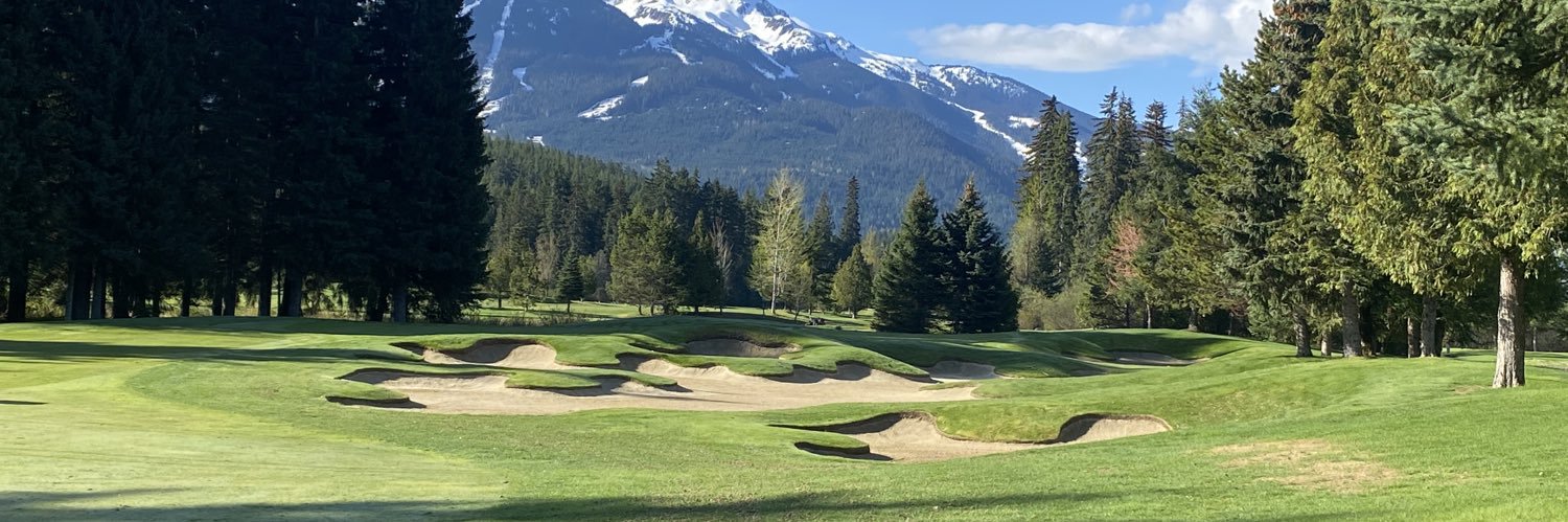 David Hardesty banner