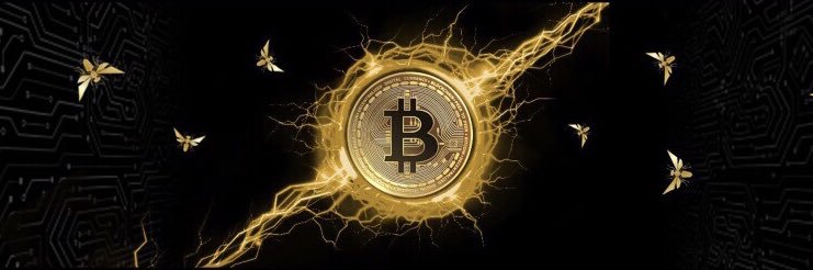 asapvendor's profile banner image