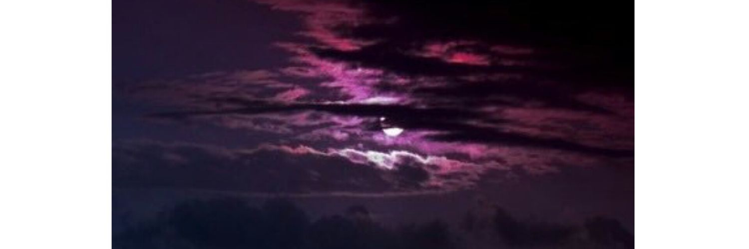 gonulkiyim's profile banner image