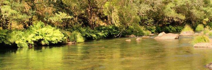 gemarlui's profile banner image
