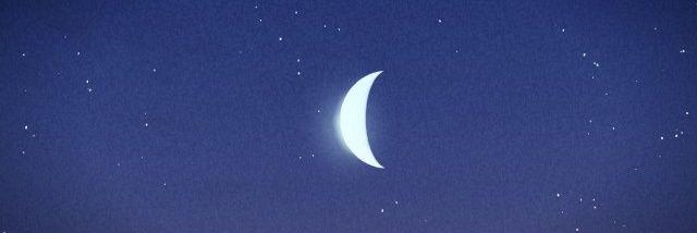 MiaGalloway_'s profile banner image