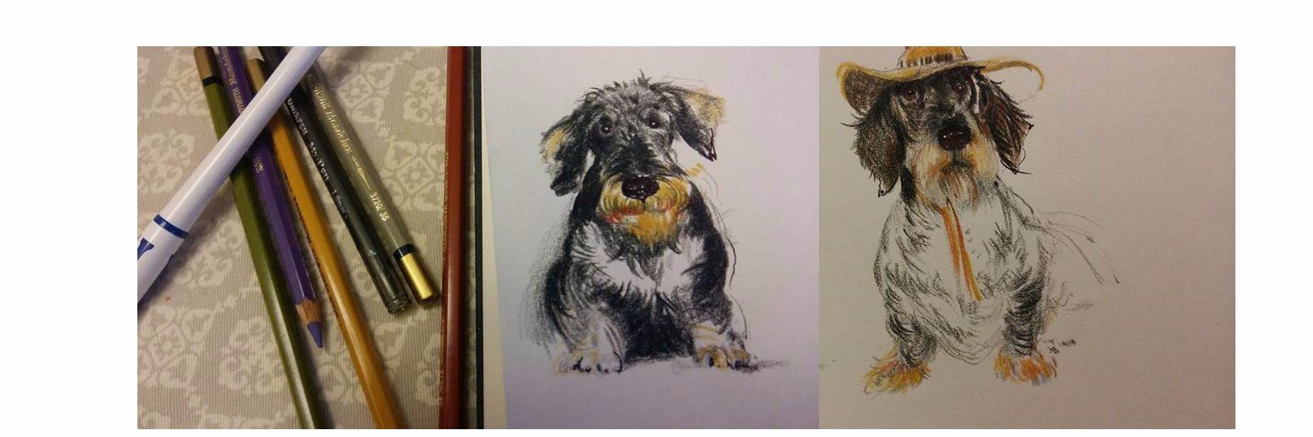 ThreeHappyDachshunds banner