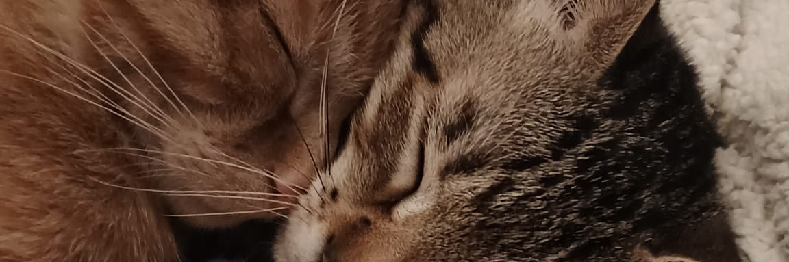 isawyoumoan's profile banner image