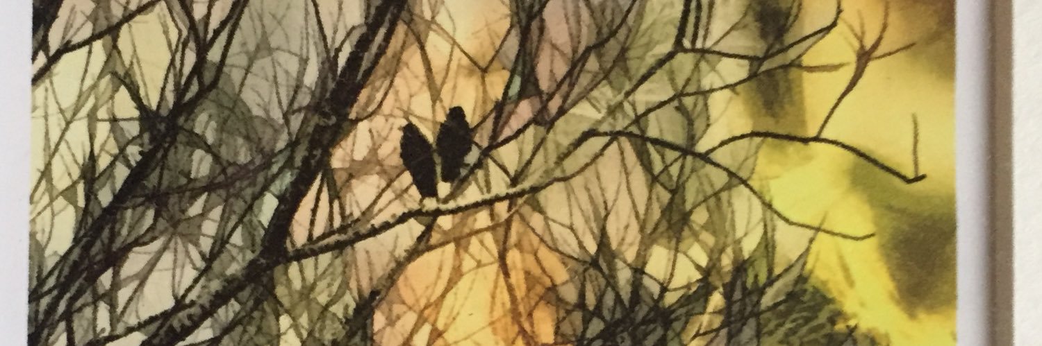 KsSoliloquy1's profile banner image