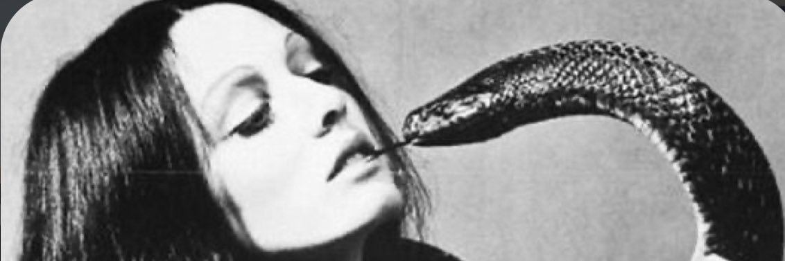 andiolmoss's profile banner image