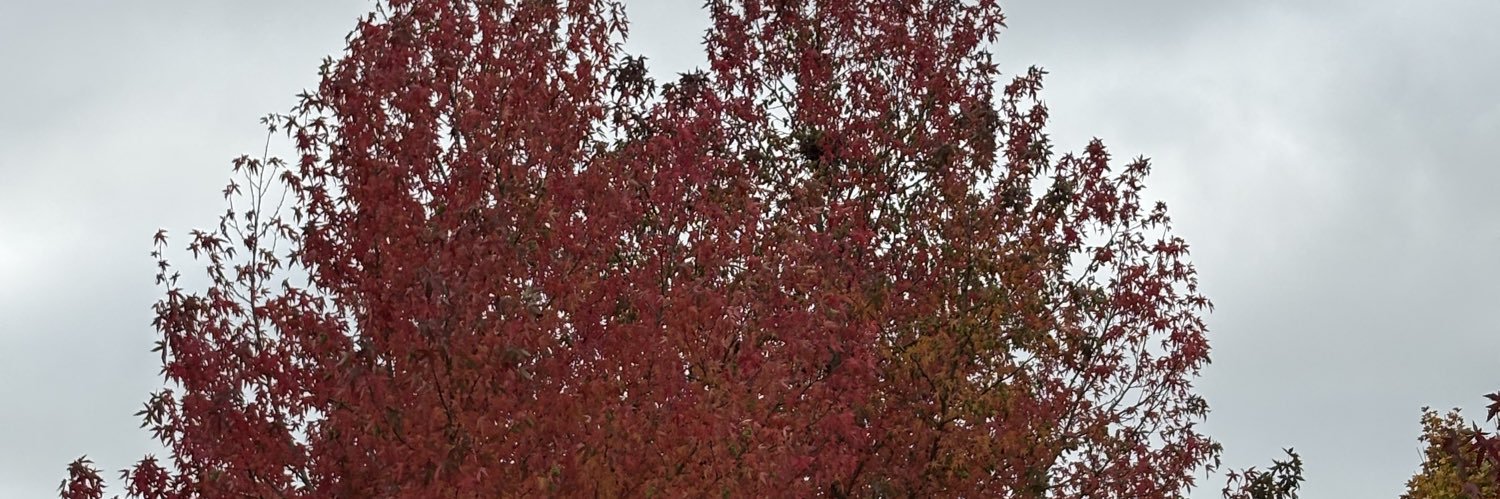 huggmz's profile banner image