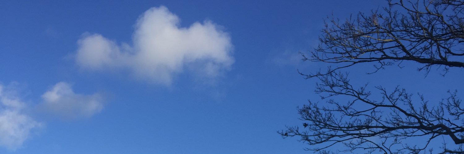 tiwaloola_'s profile banner image