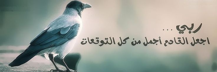 Abdallh ammarr ////CRYPTO KSA banner