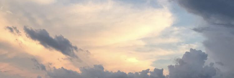 emma banner