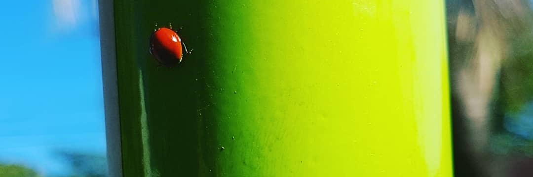 ImNuanee's profile banner image