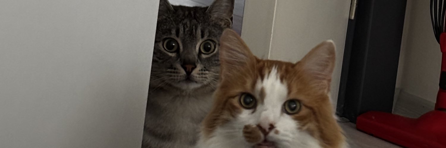 bsraerdd's profile banner image