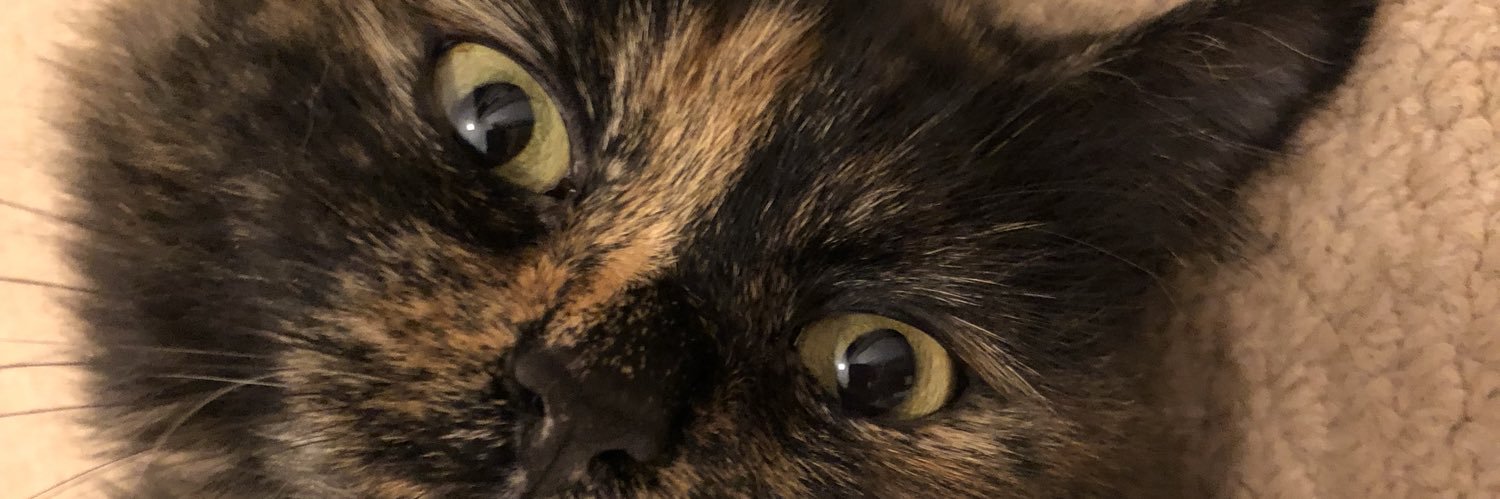 _abbydooley's profile banner image
