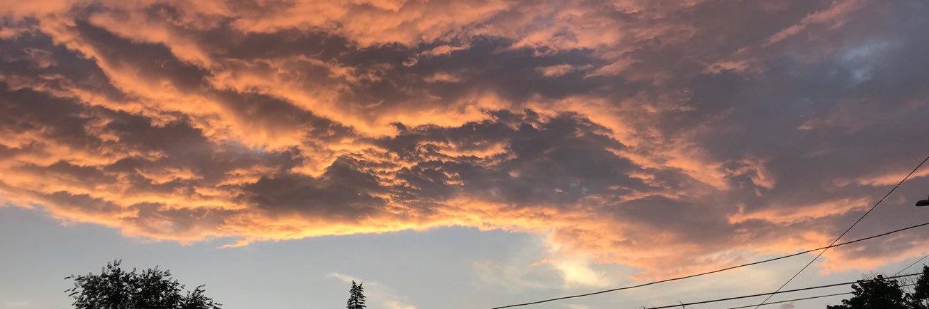 haleycamarato's profile banner image