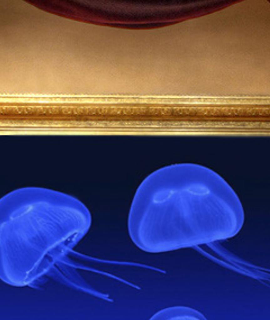otetonclerm's profile banner image