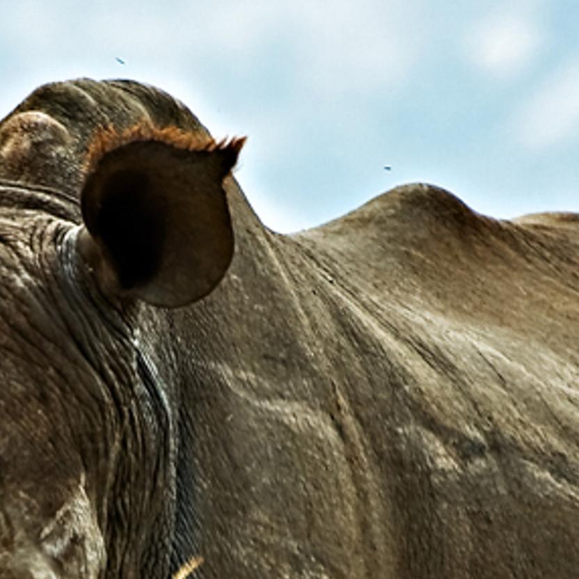 ssebaemncuru's profile banner image