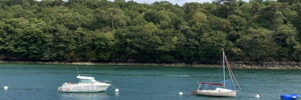 _thinktree Profile Banner