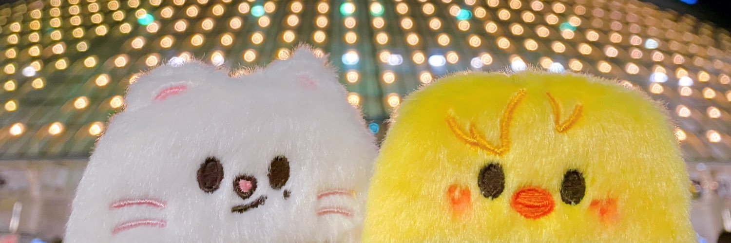相良 banner
