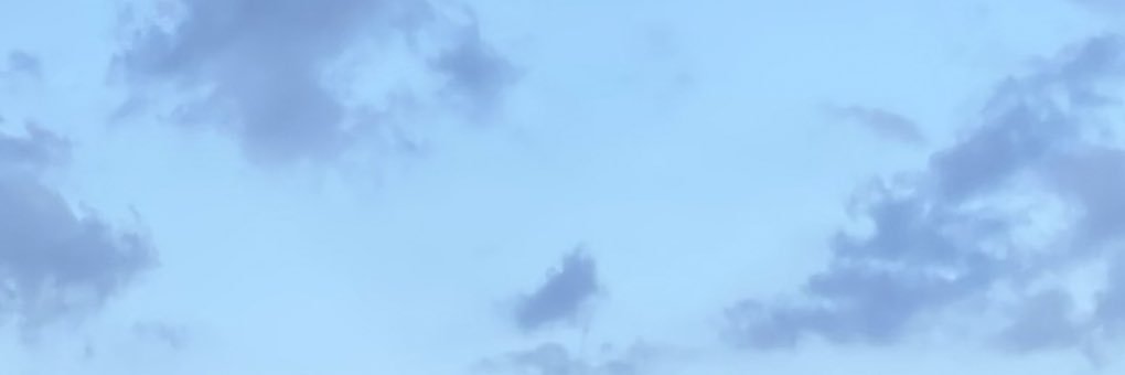 Patrick* banner
