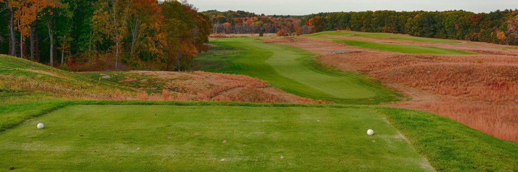 pingreegolf's profile banner image