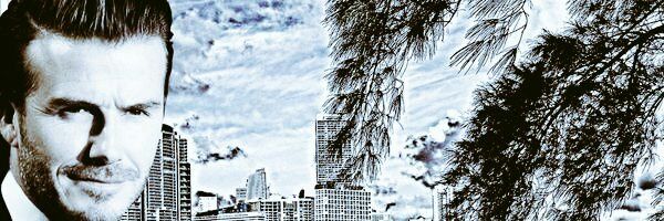 LaAcademiaMiami's profile banner image