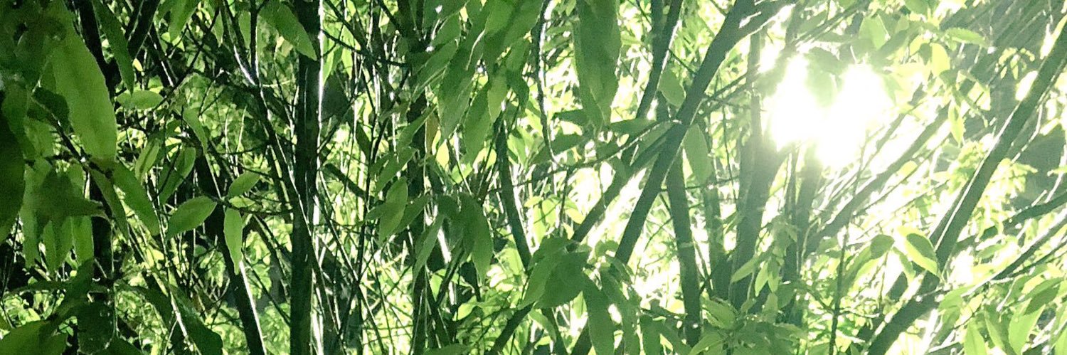 mayuutu317's profile banner image