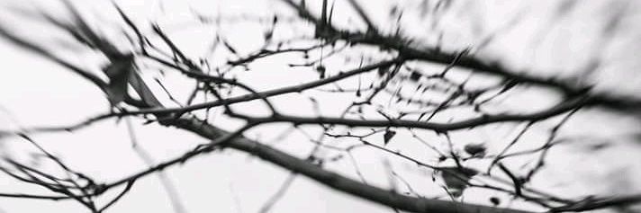 __Old__Soul's profile banner image
