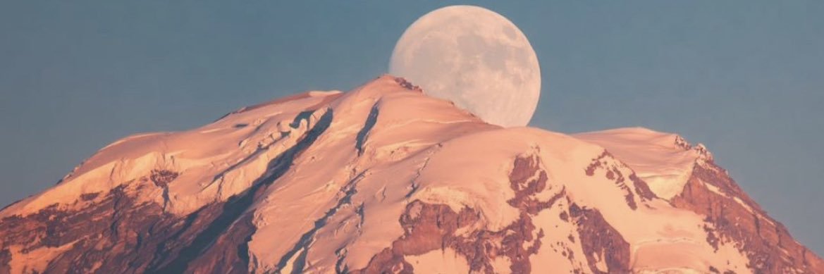 jess banner