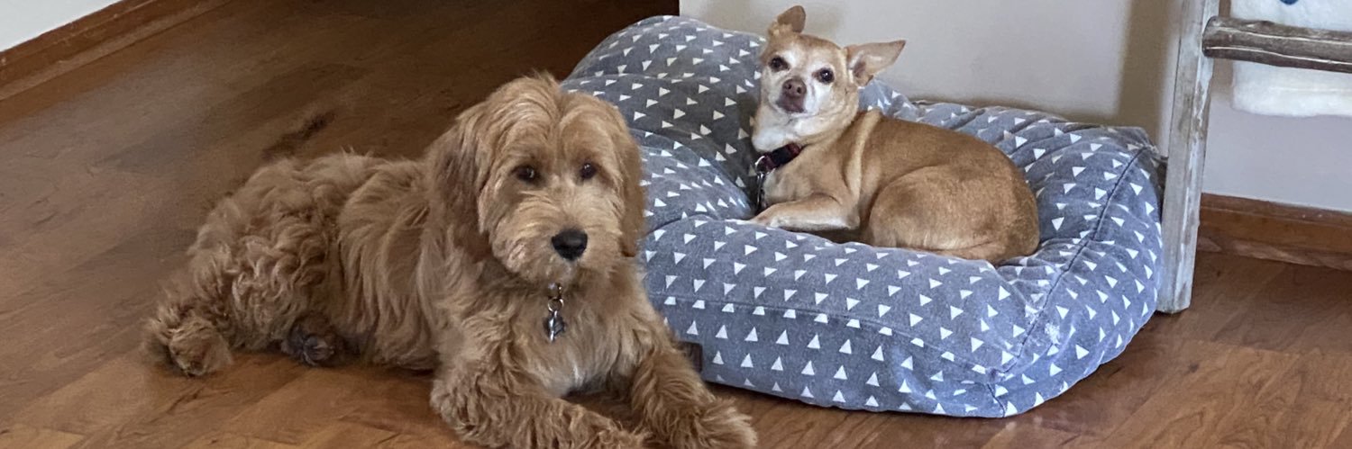beccaboo_22's profile banner image