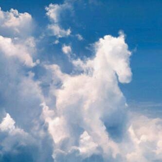 thewillofgod's profile banner image