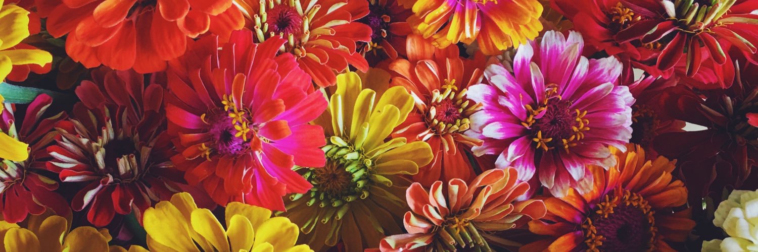 StacyAnn1625's profile banner image