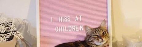 achmonstr's profile banner image
