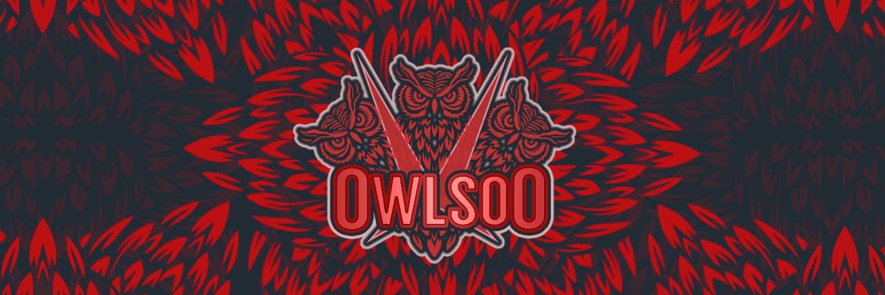 Owlsoo banner