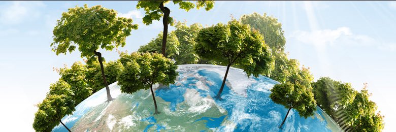 DrTree_UK's profile banner image