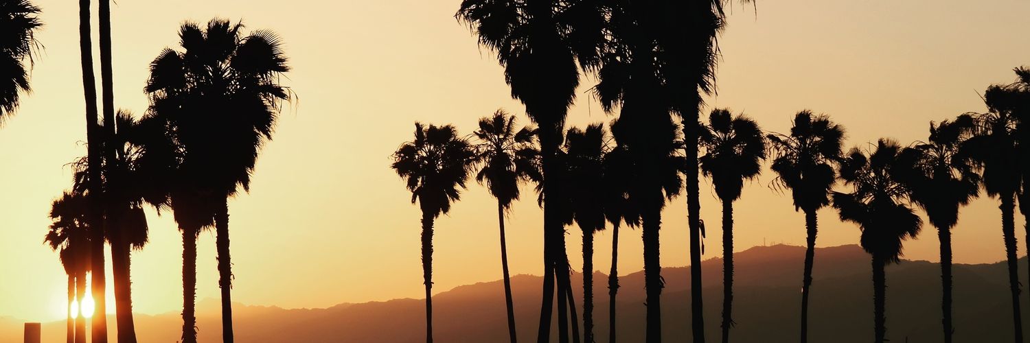 aserrurier's profile banner image