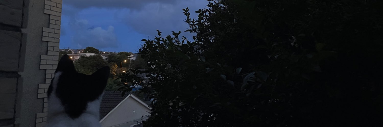 jadziabambridge's profile banner image