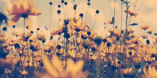CikWho_da's profile banner image