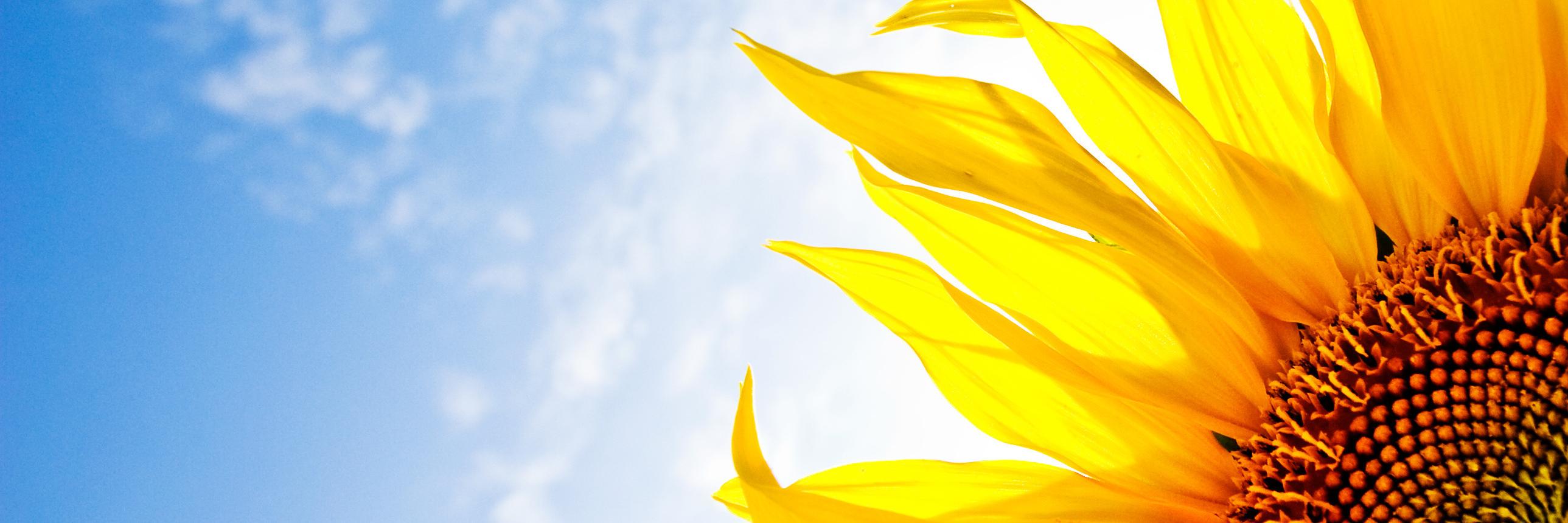 HiagoRVA's profile banner image
