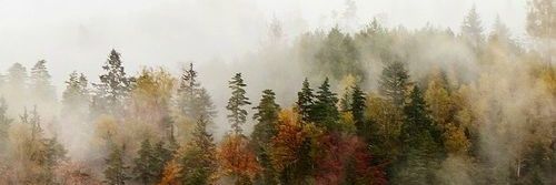 _kleineFee's profile banner image
